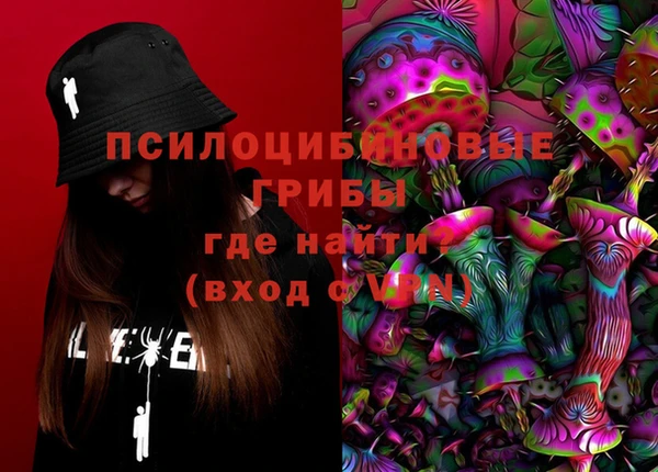 спайс Михайлов