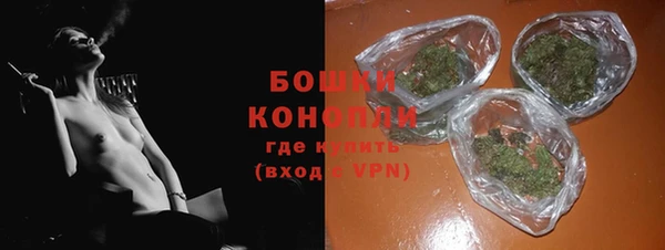 трава Сковородино