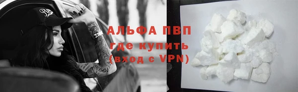 спайс Михайлов