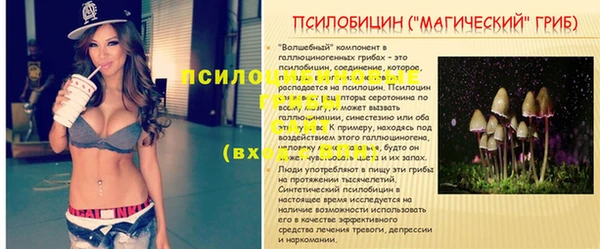 спайс Михайлов