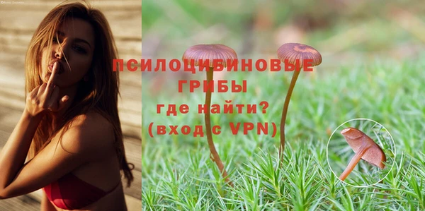 спайс Михайлов