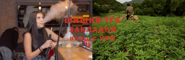 спайс Михайлов
