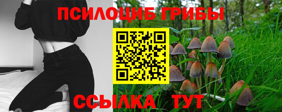Галлюциногенные грибы MAGIC MUSHROOMS Красногорск