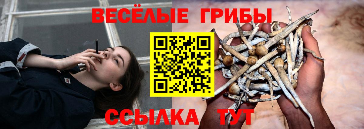 Псилоцибиновые грибы GOLDEN TEACHER  Псилоцибиновые грибы мухоморы  Красногорск  Вход с VPN 
